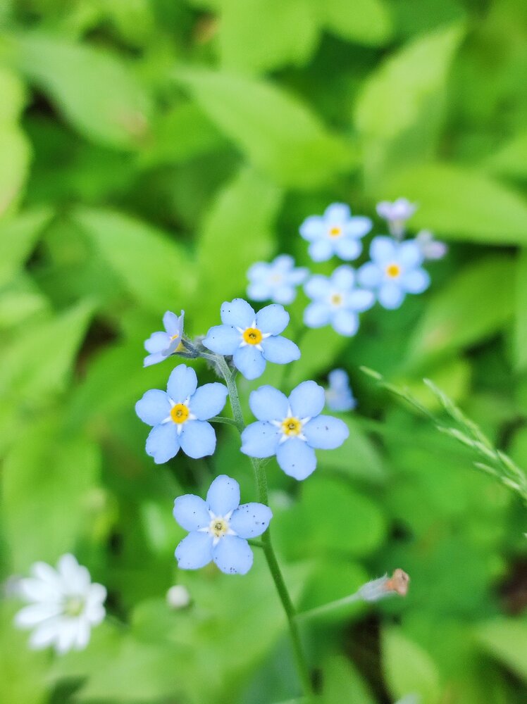 Photograph by Татьяна Никулина