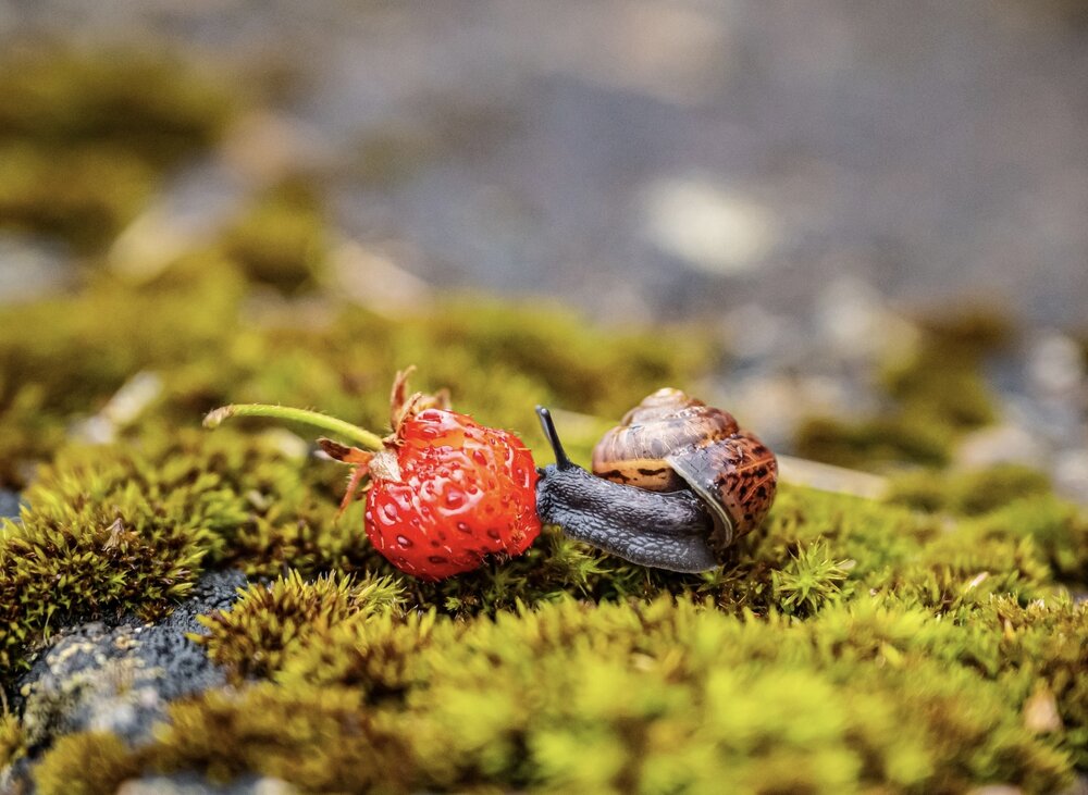 Photograph by Gabidullina Tanzilya