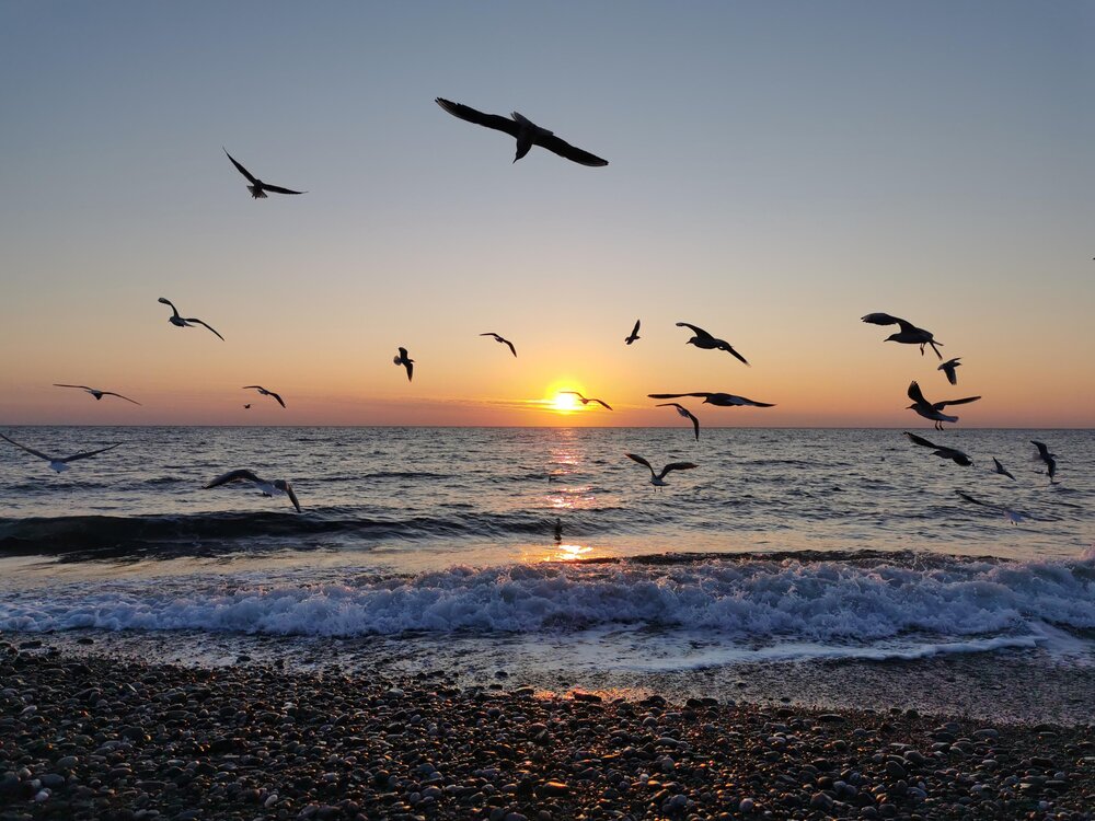 Photograph by Елена Юркова