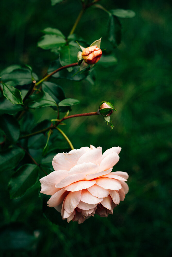 Photograph by Наталия Дмитриева