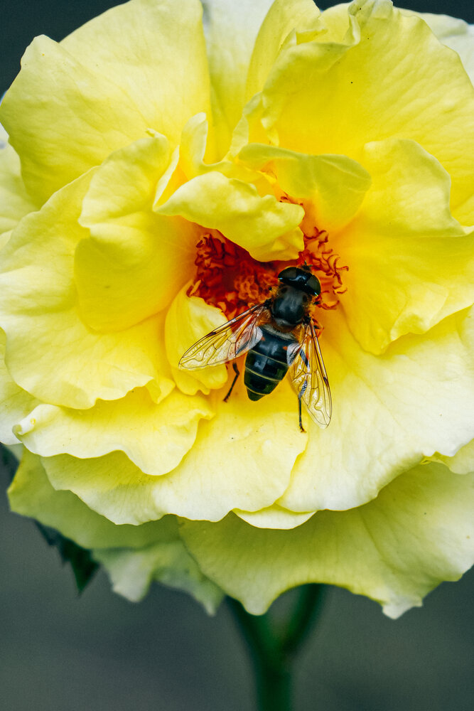 Photograph by Наталия Дмитриева