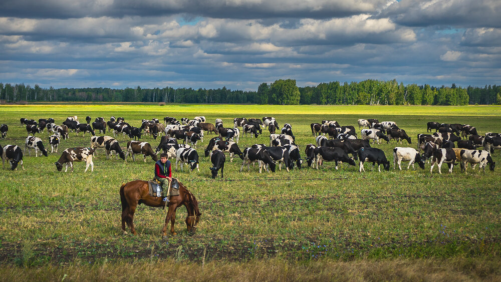 Photograph by Денис Базаров