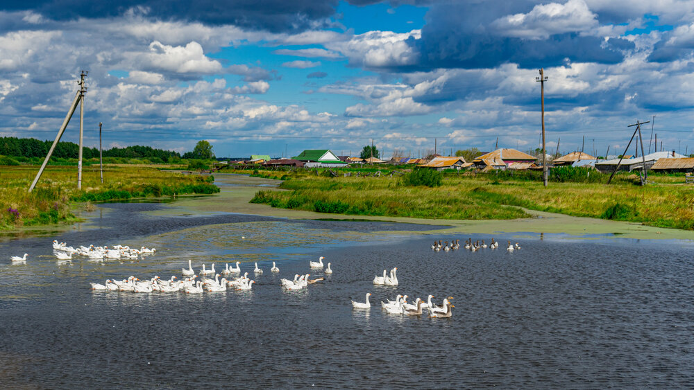 Photograph by Денис Базаров