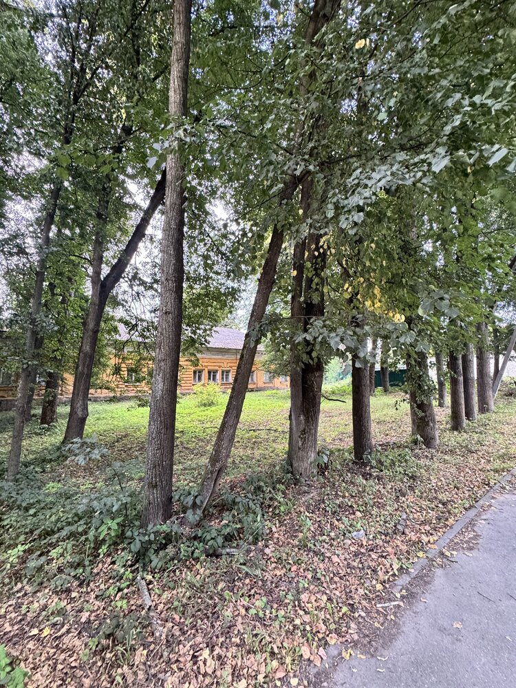 Старая аллея