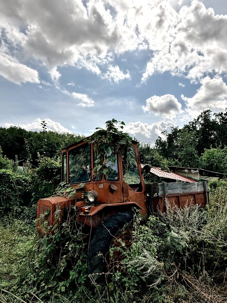 Photograph by Валентина Колесова