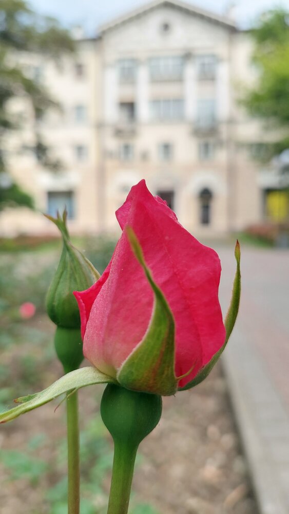 Photograph by Марина Жарикова