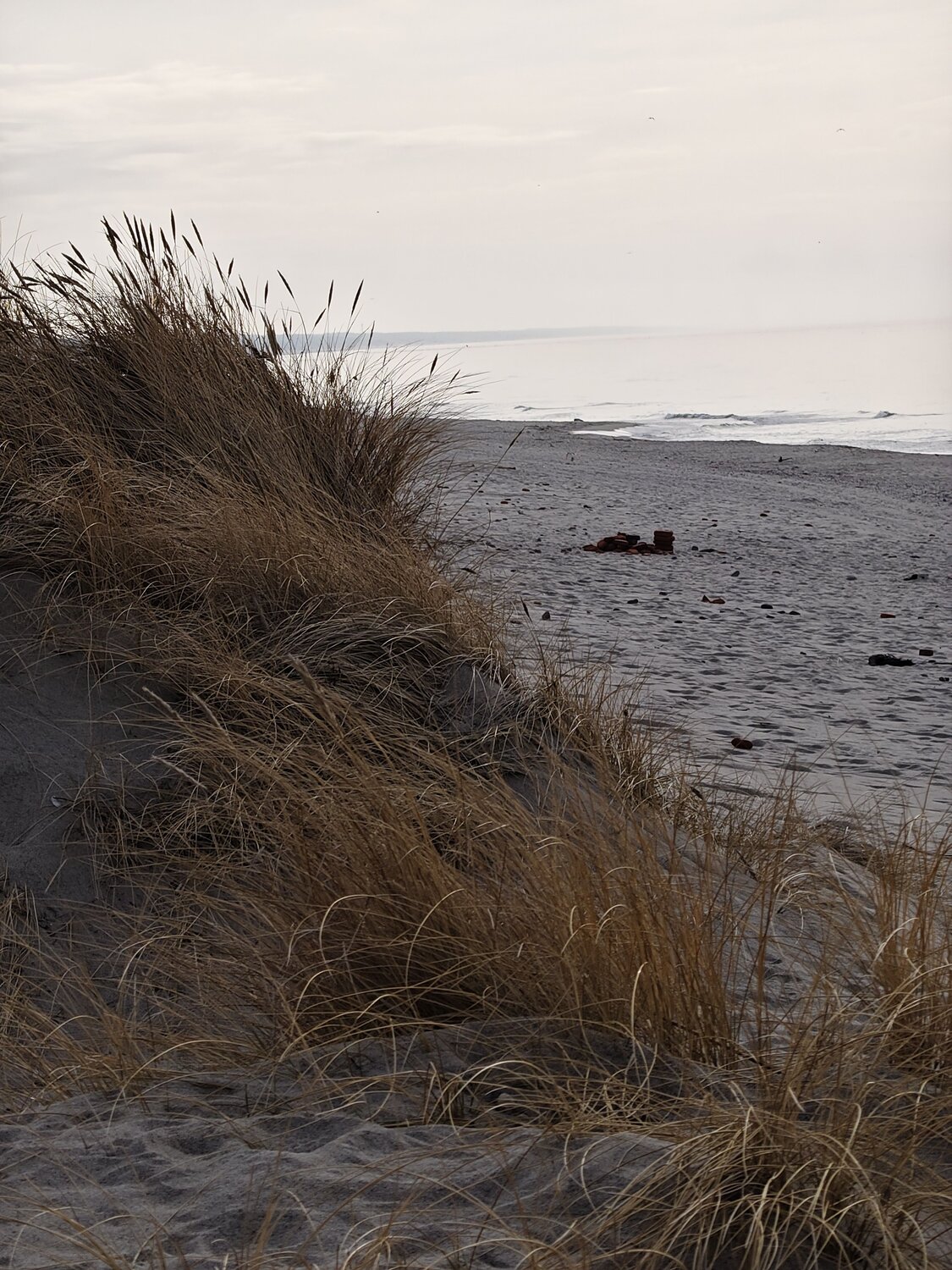 Photo #13911116