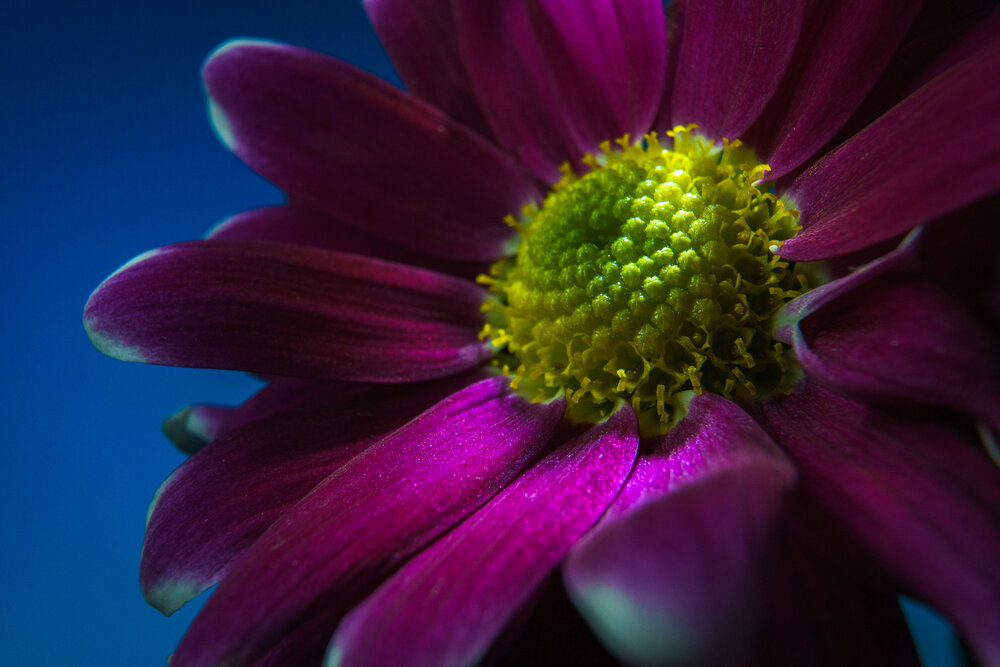 Photograph by Евгений Андреев