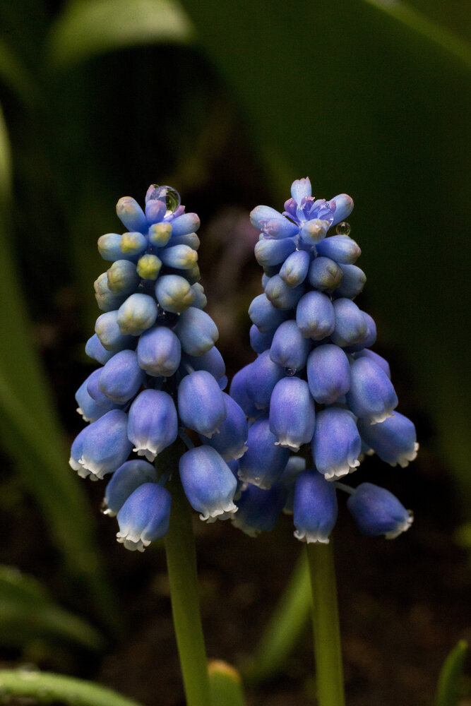 Photograph by Ксения Малявина