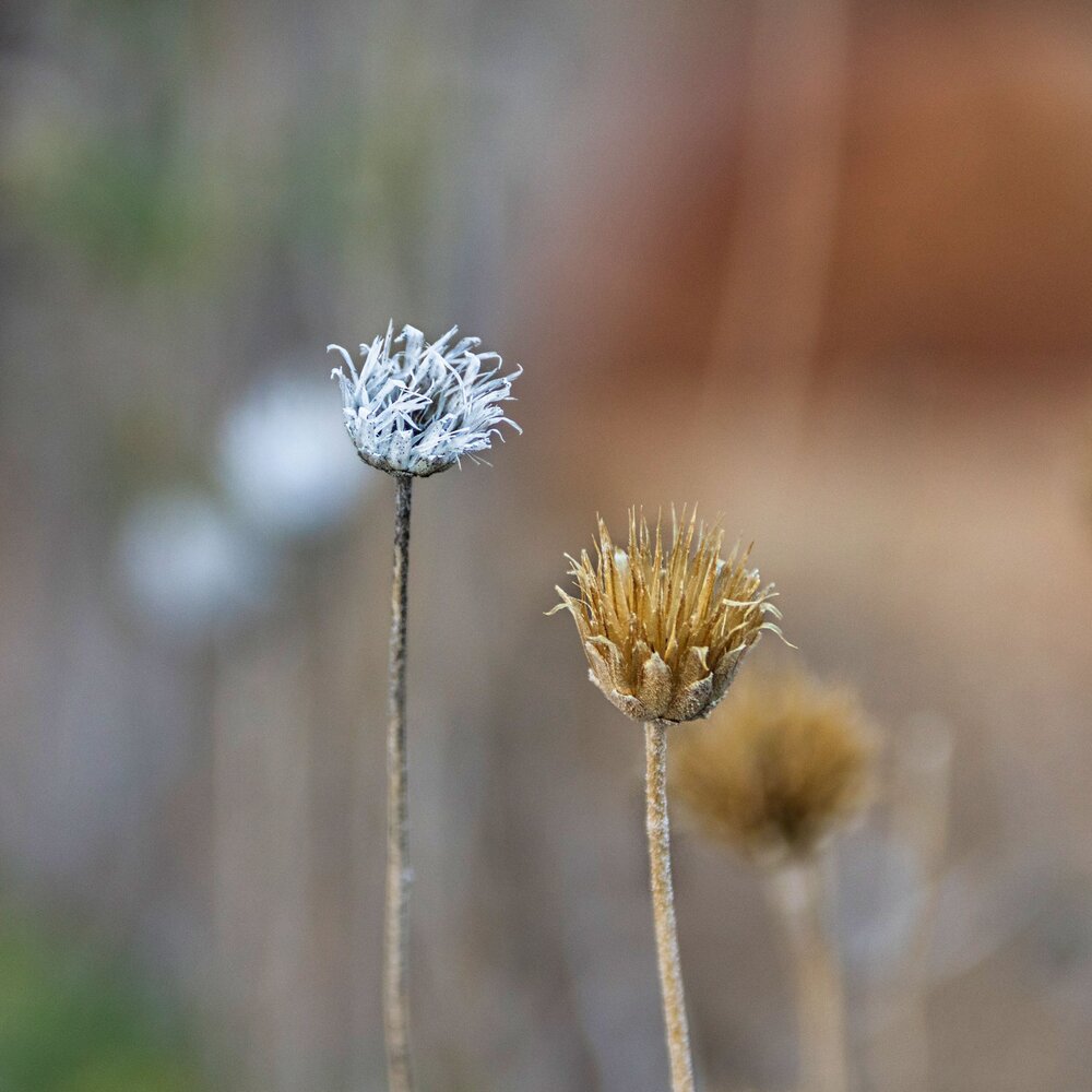 Photograph by Анатолий Костерев