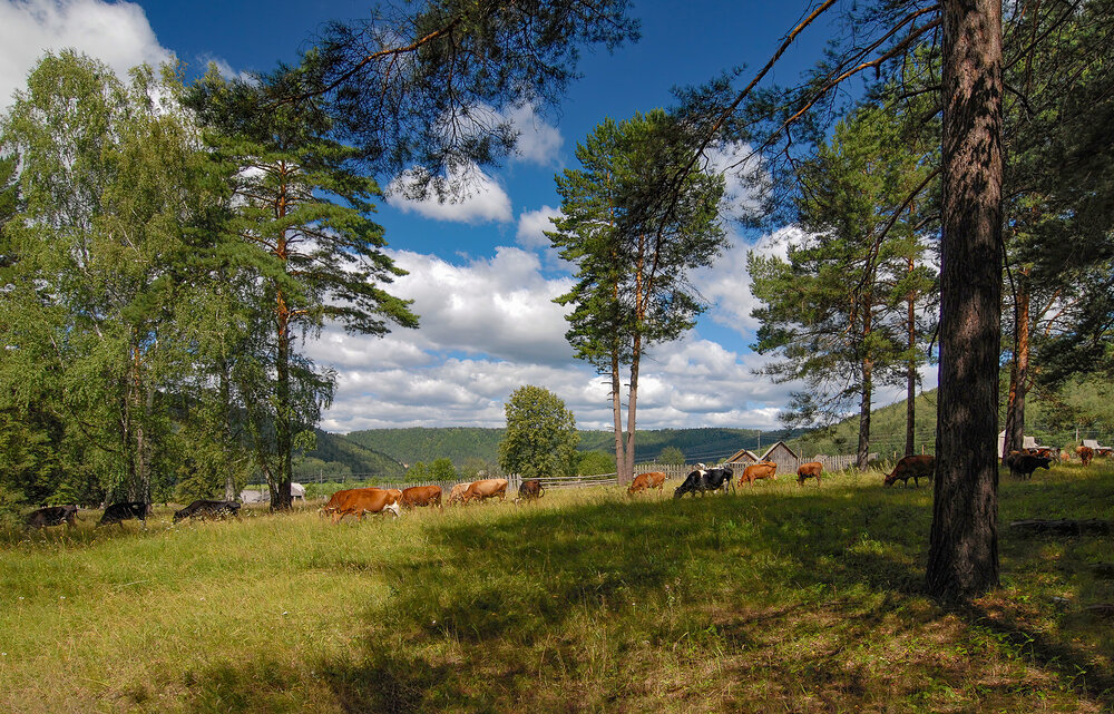 Photograph by Александр Лебедев