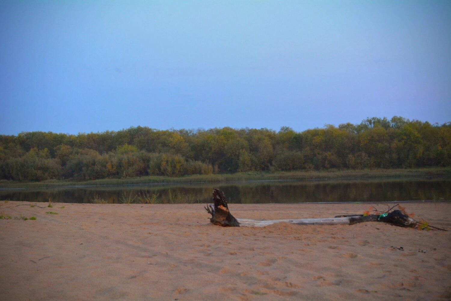 Photo #13911217