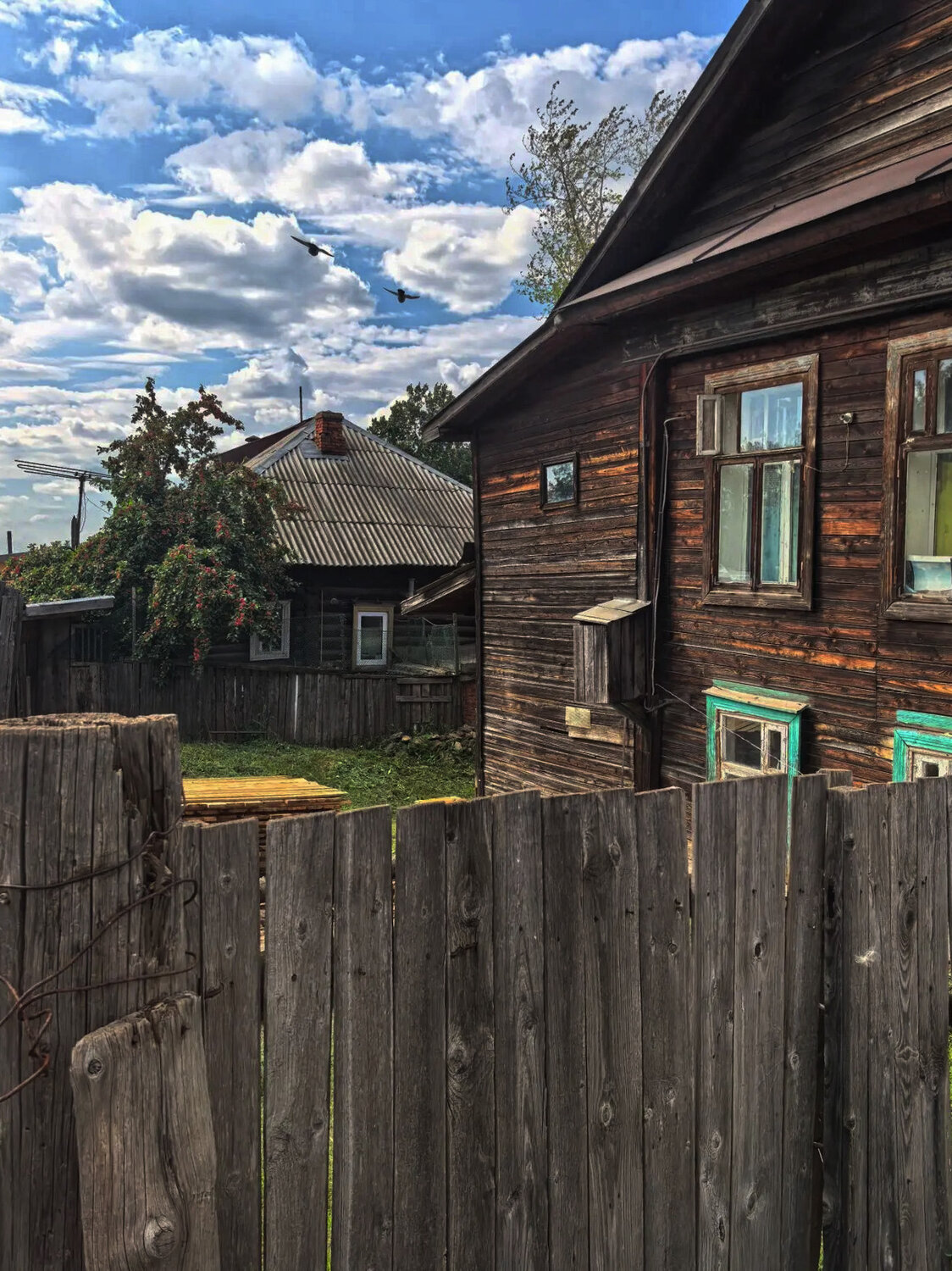 Photo #13911233