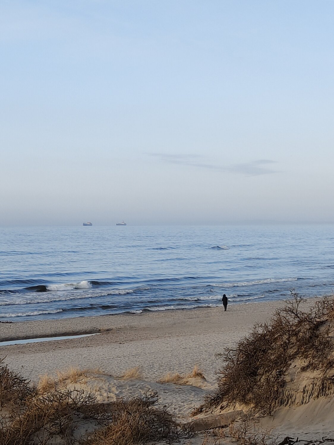 Photo #13911342