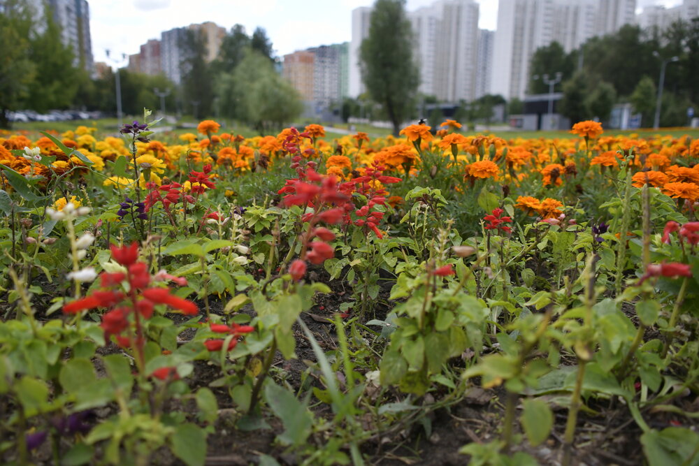 Photograph by Дмитрий Зенкин