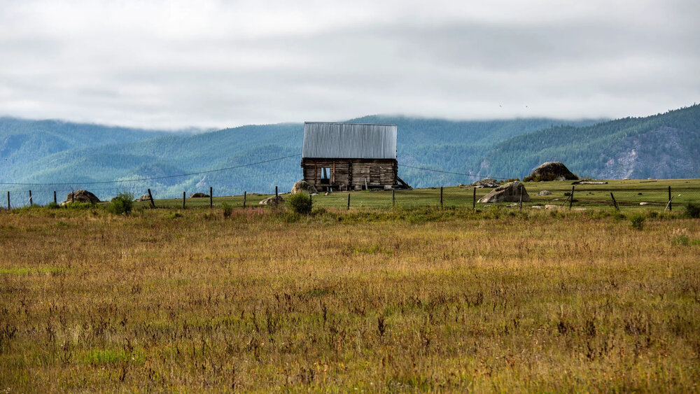 Photograph by Елена Данченко