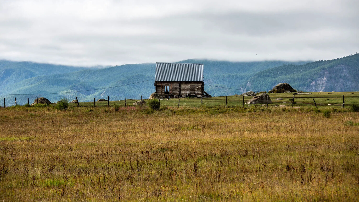 Photo #13911377
