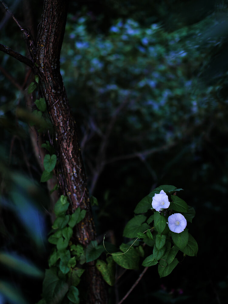 Photo #13911383