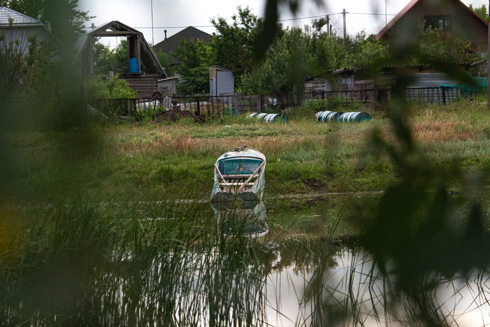 Photograph by Галчонок Ахмерова