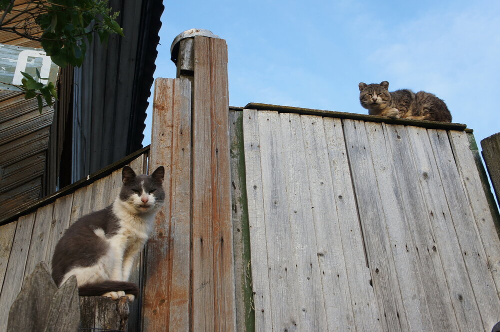 Photograph by Евгений Устинов