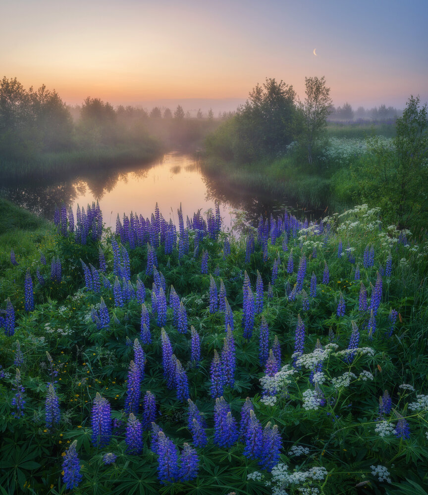 Photograph by Устюжанин Михаил
