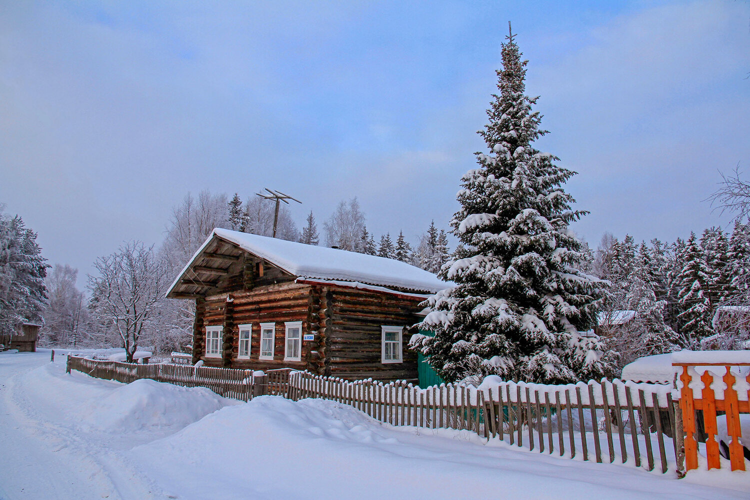 Photo #13911478