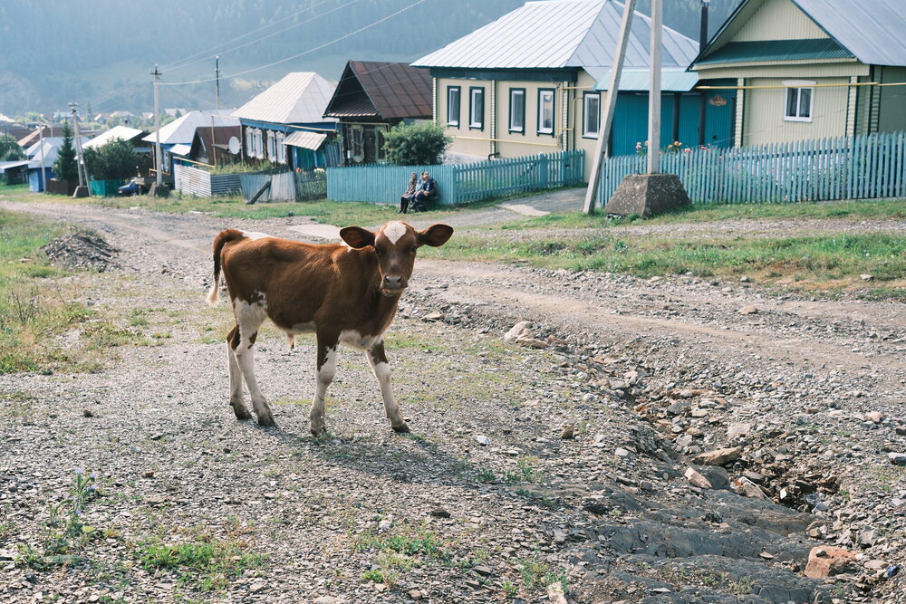 Фотография автора Камила Романюк