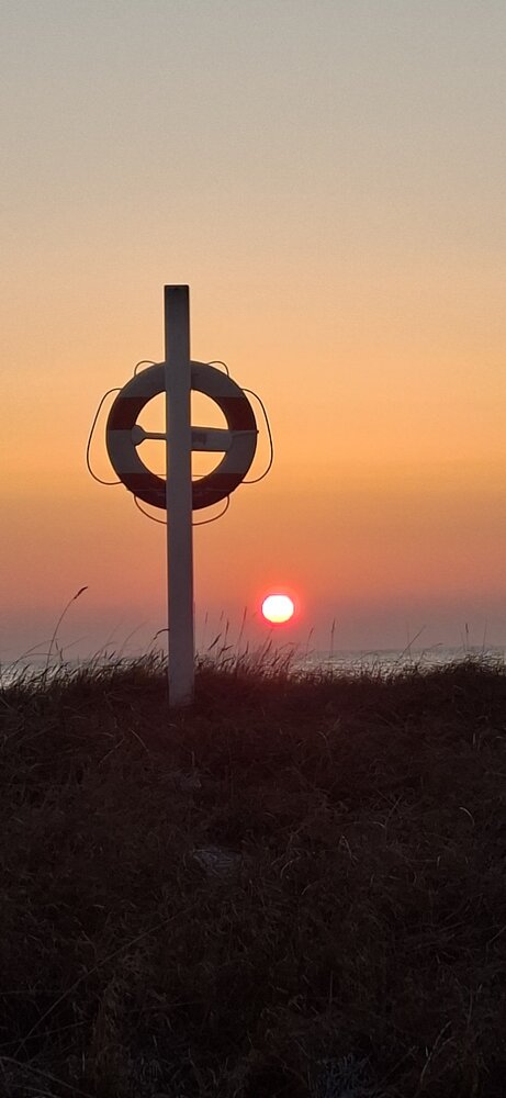 Photo #13911496