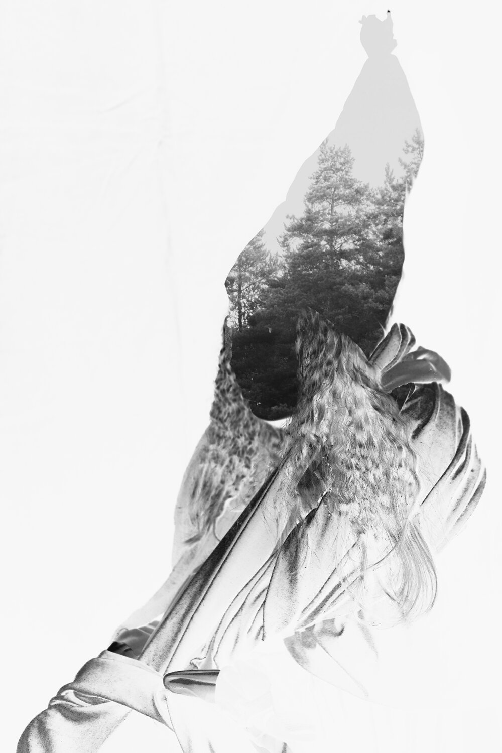 Photo #13911505