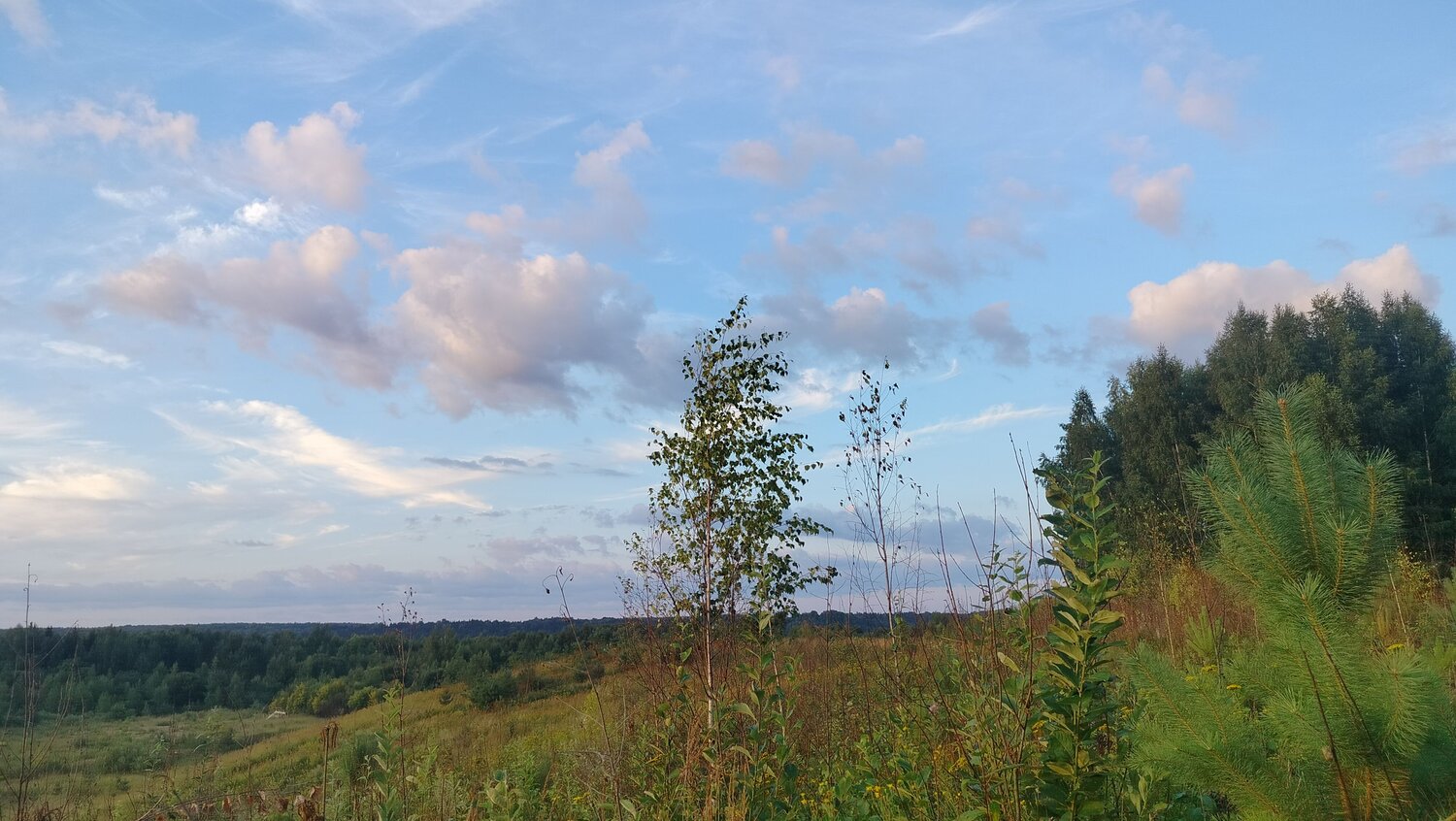 Photo #13911531