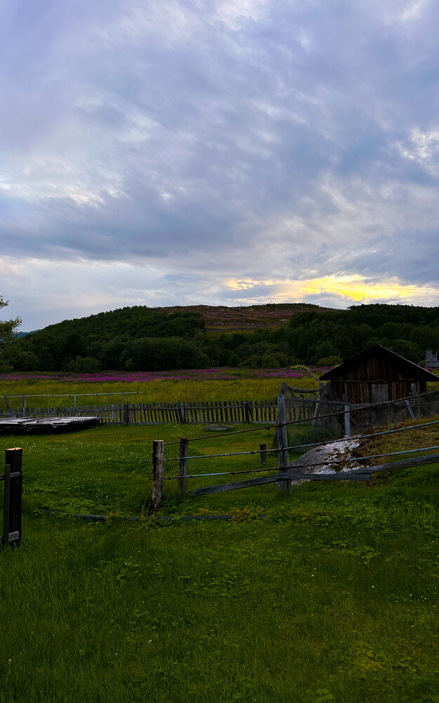 Photograph by Татьяна Петрова