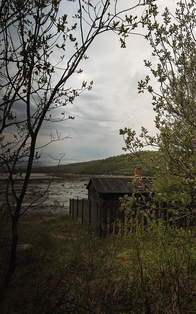 Photograph by Татьяна Петрова