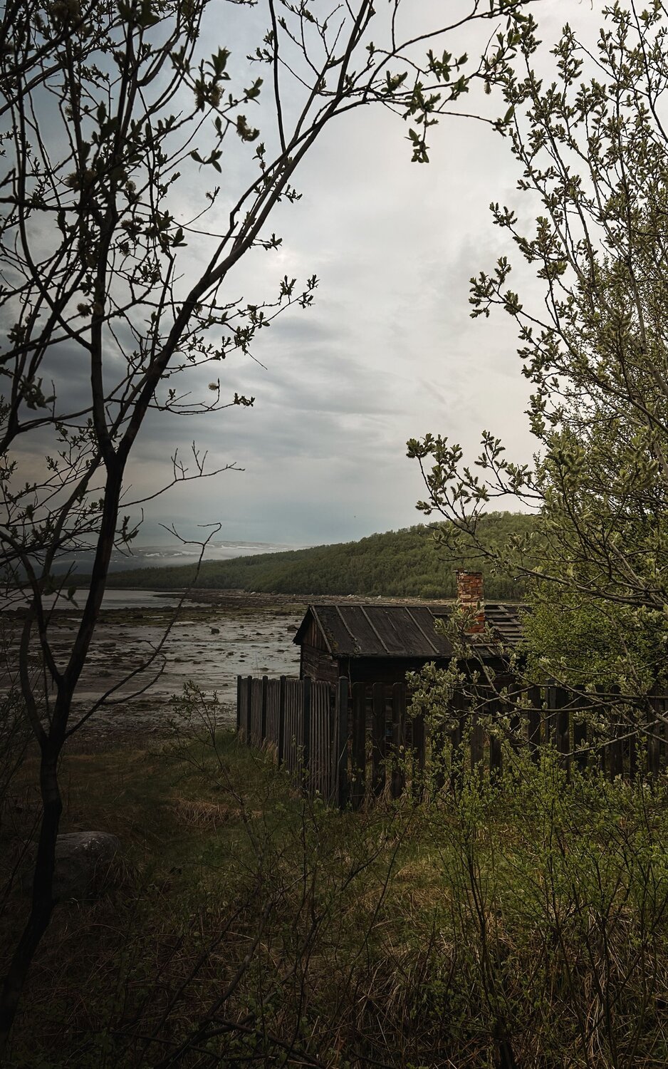 Photo #13911555