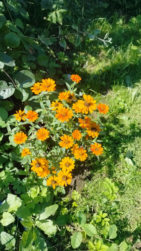 Photograph by Галина Маркелова