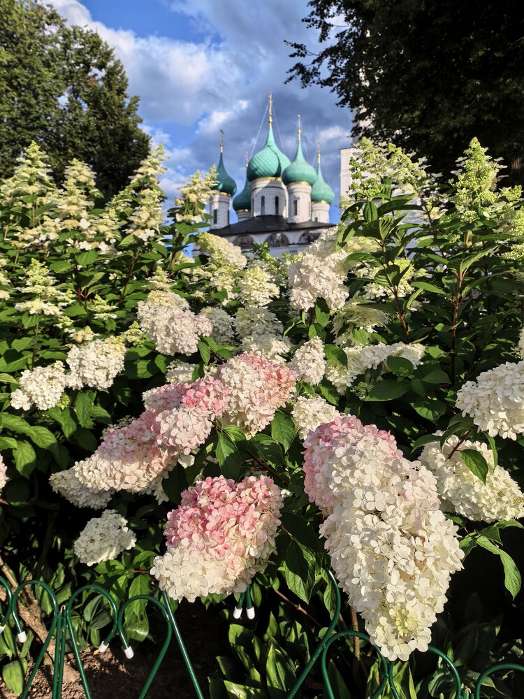 Photograph by Александр Порохов