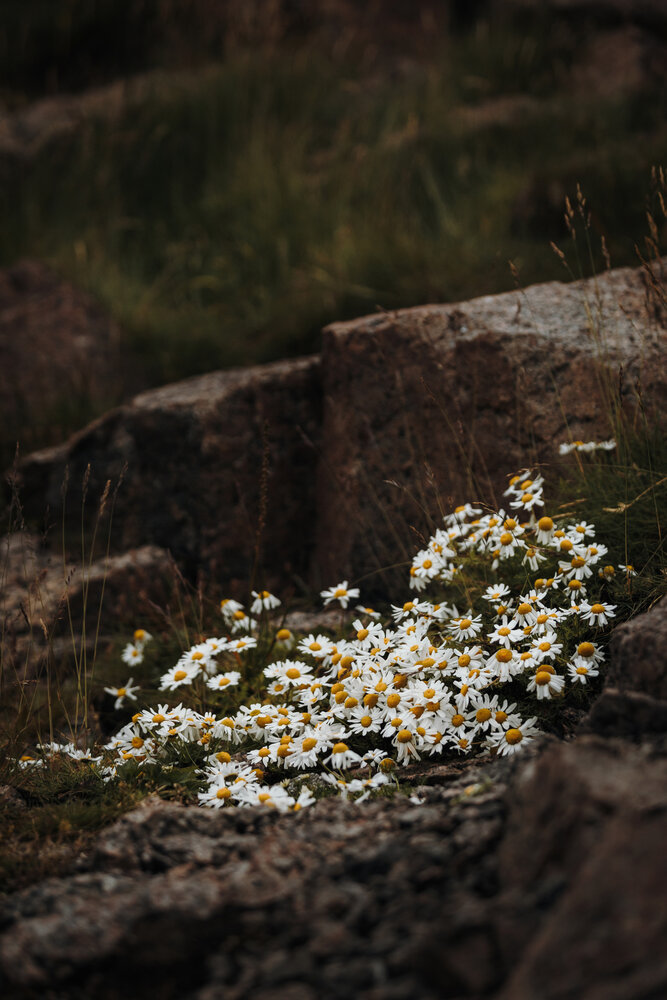 Photograph by Екатерина Воронина