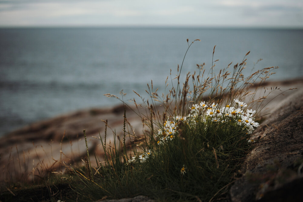 Photograph by Екатерина Воронина