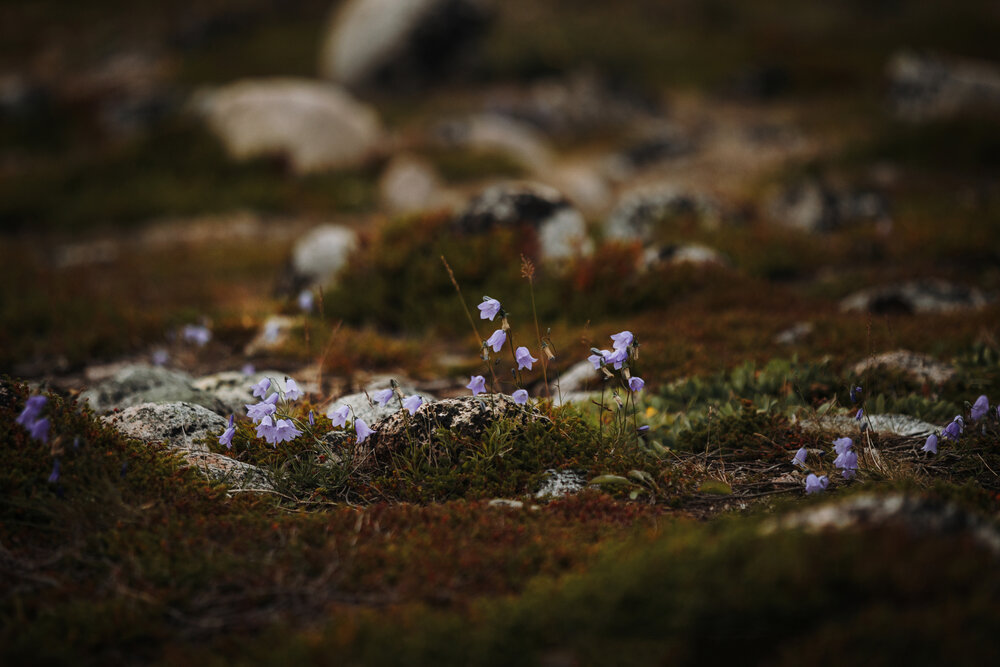 Photograph by Екатерина Воронина