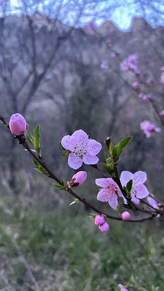 Photograph by Elena Pozdorovkina