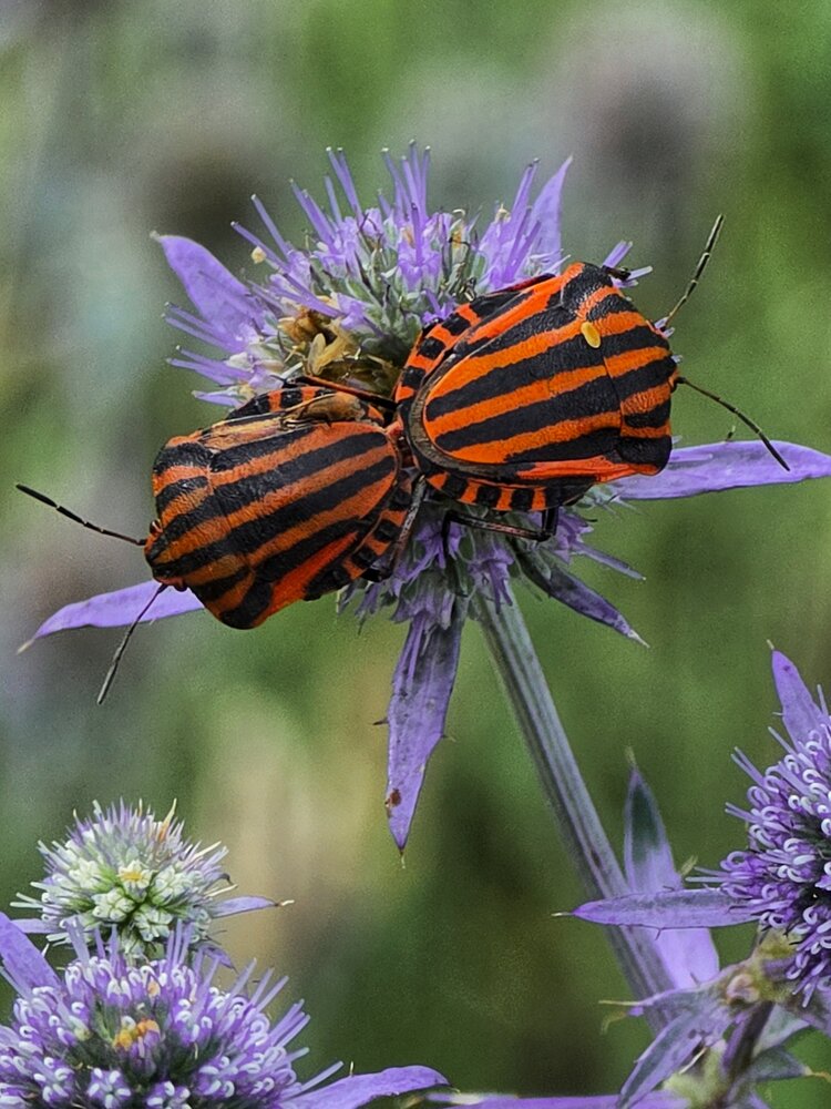 Photograph by Ирина Хлебникова