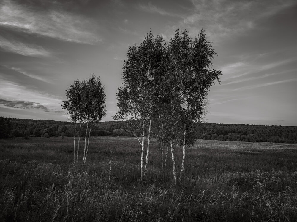 Photograph by Кирилл Сидоров