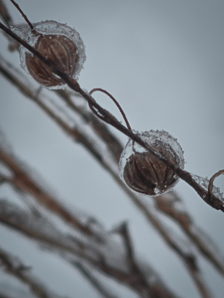 Photograph by Ирина Хлебникова