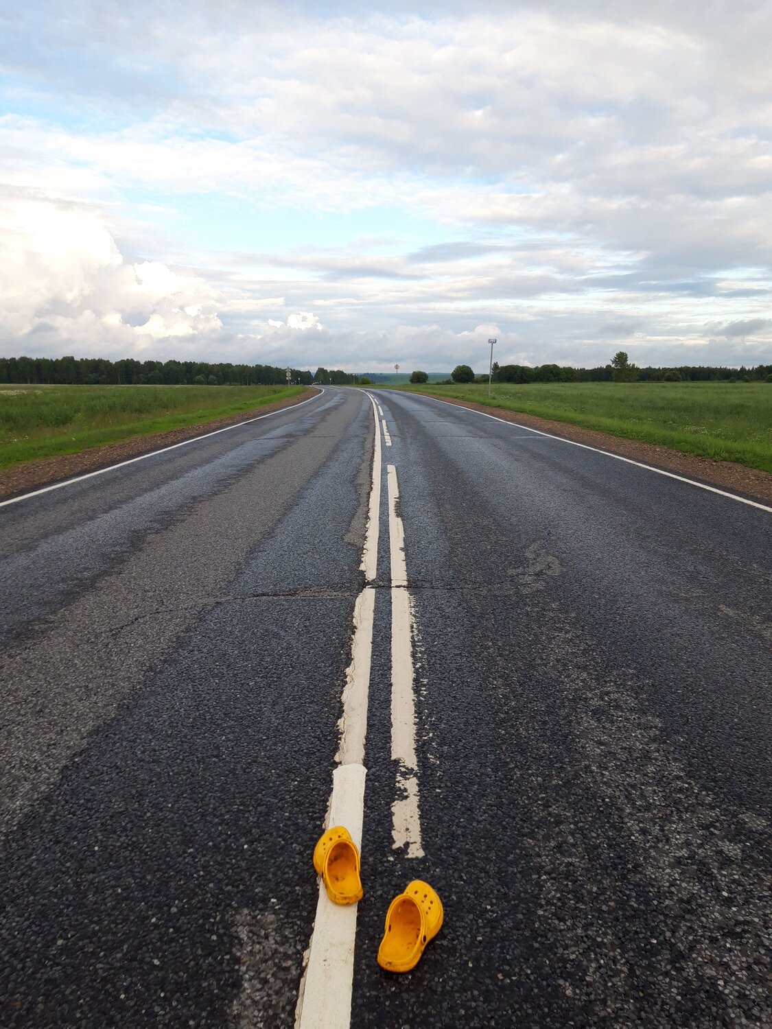 Photo #13911639
