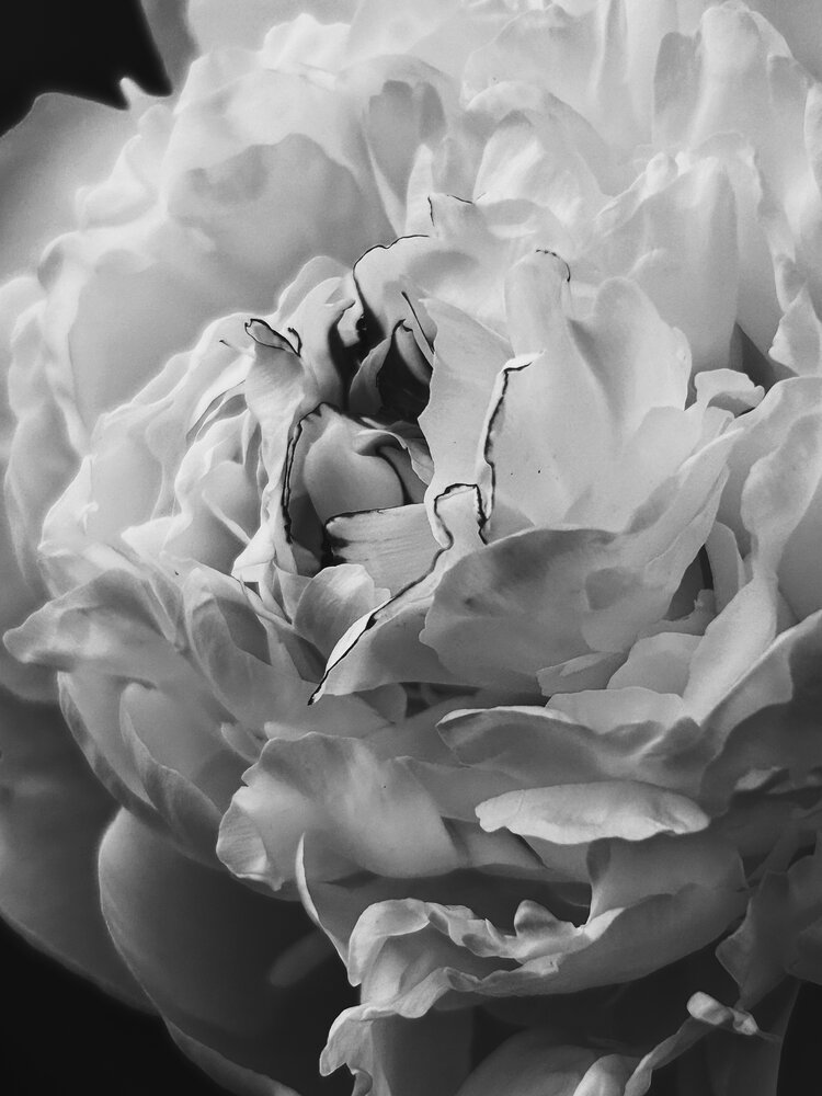 Photograph by Мария Байбарина
