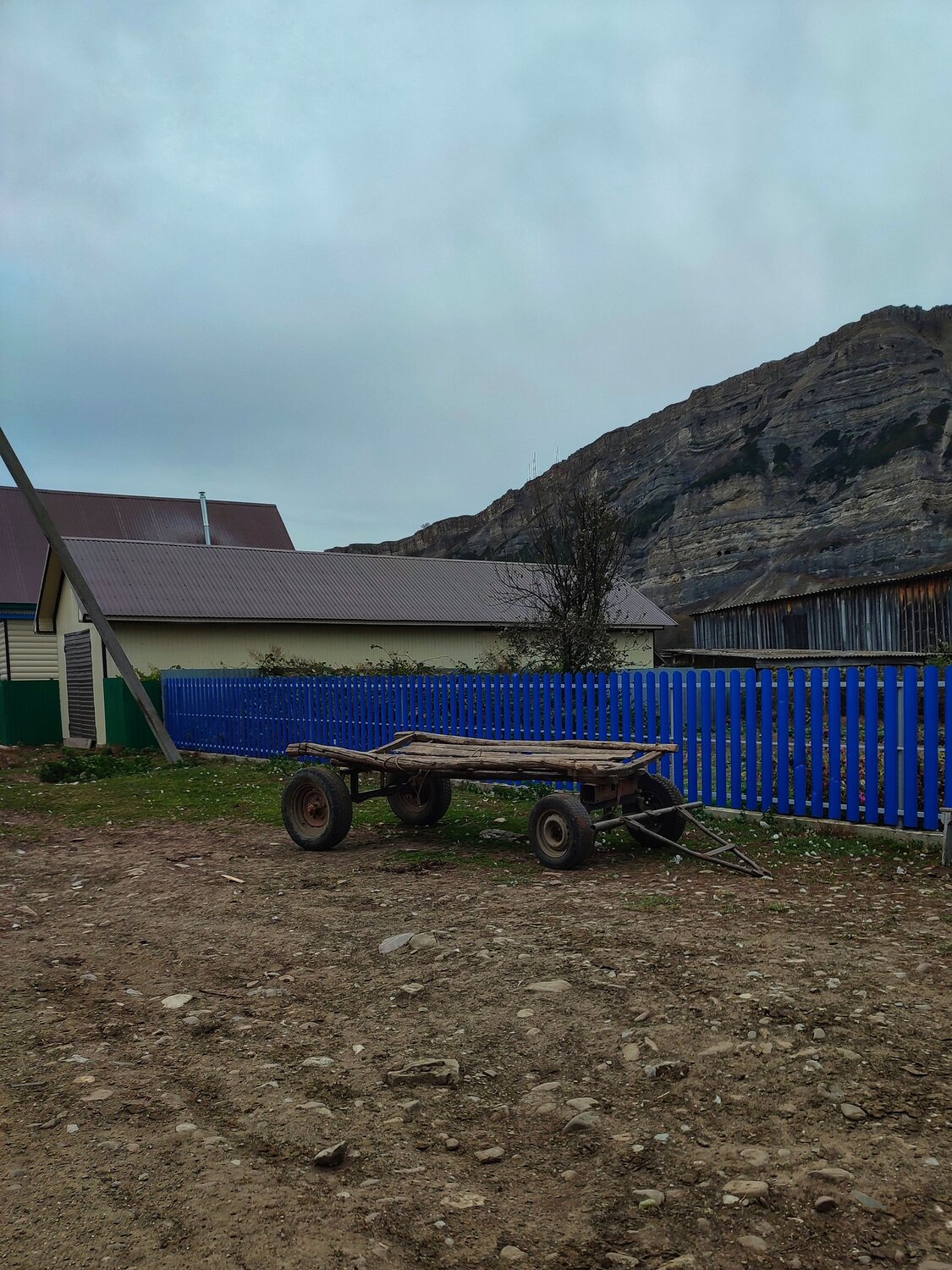 Photo #13911653