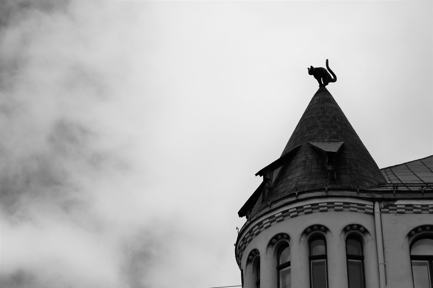 Photo #13911664