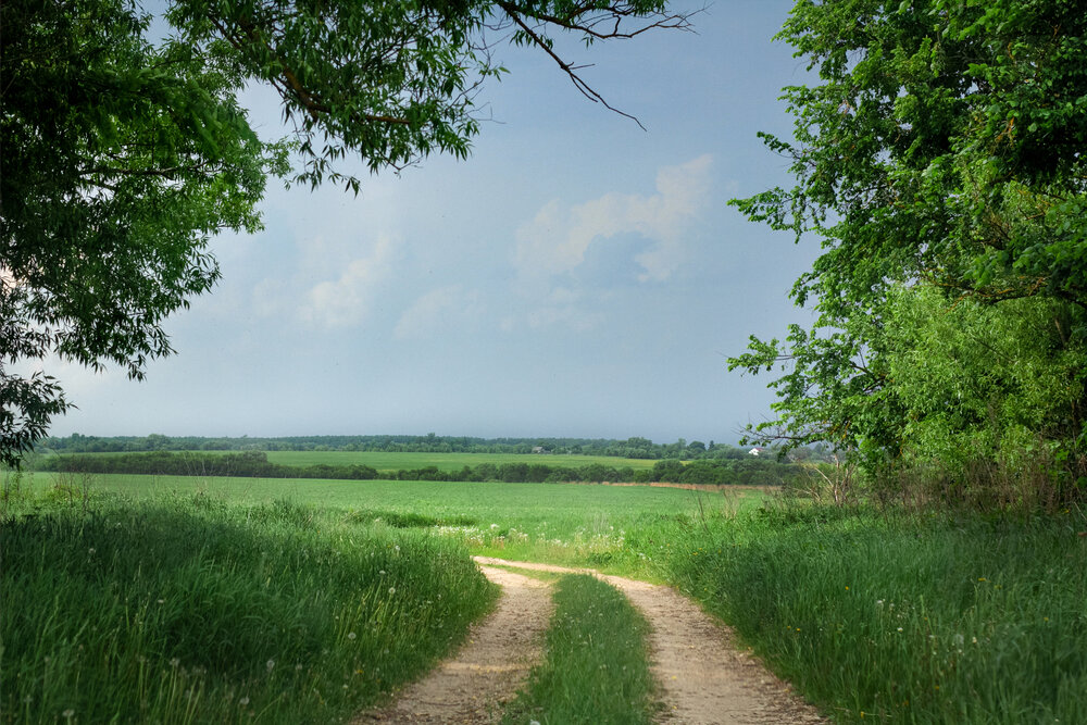 Photograph by Екатерина Пантелеева