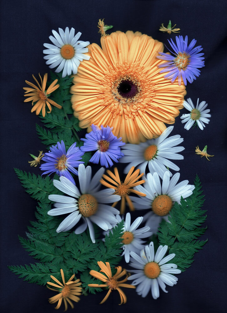 Photograph by Olga Akhmetova