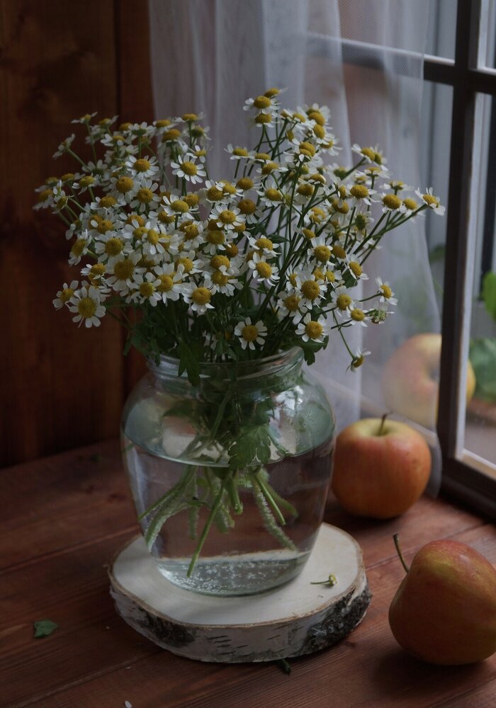 Photograph by Александра Исаева