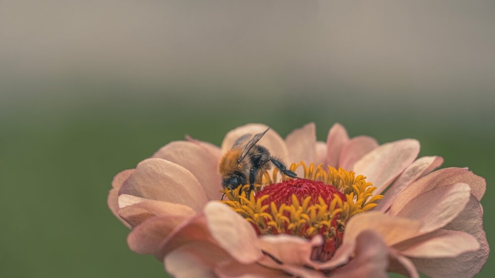 Photograph by Denis Romanov